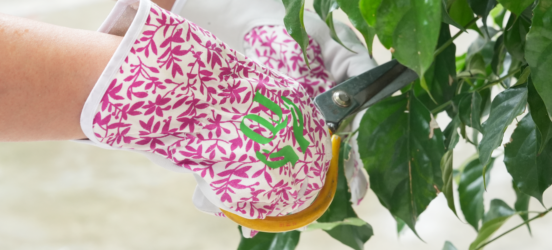 Rękawiczki Nantong Qiji Co., Ltd.